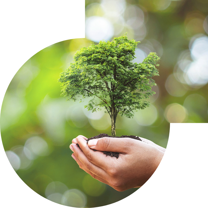 关怀人类、文化、环境与社会